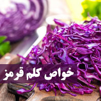 خواص کلم قرمز + ۳۰ خاصیت کلم پیچ قرمز و تست جنسیت