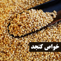 خواص کنجد | ۲۲ خاصیت علمی کنجد برای سلامتی پوست مو