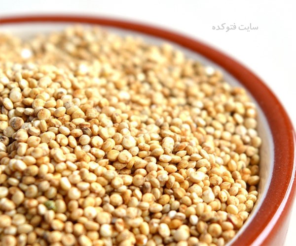 خاصیت کینوا مشهور به خاویار گیاهی چیست