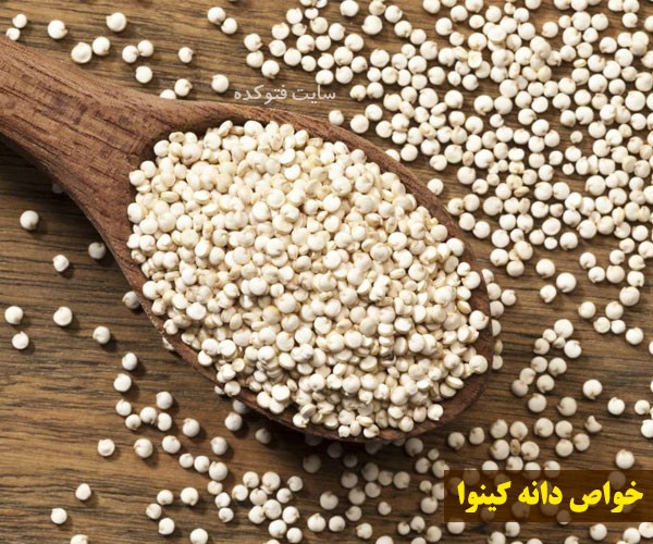 خواص دانه های کینوا چیست