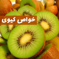 خواص کیوی | ۳۶ خاصیت کیوی برای پوست چشم و اسپرم
