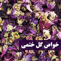خواص گل ختمی | ۲۶ خاصیت ختمی برای پوست و مو سلامتی