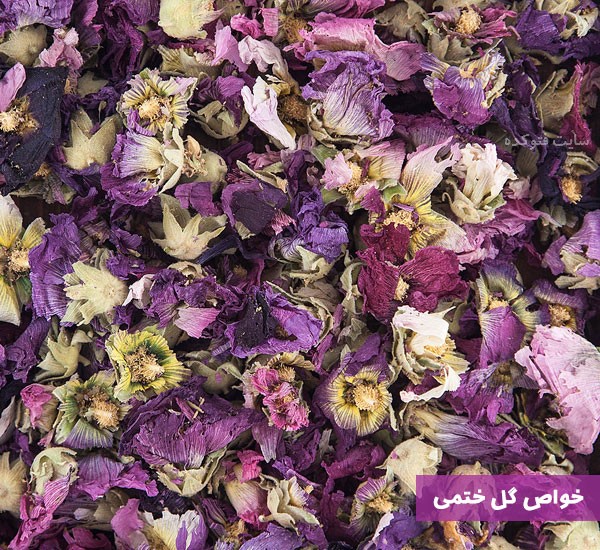 خاصیت گل ختمی برای عفونت زنان و سرماخوردگی