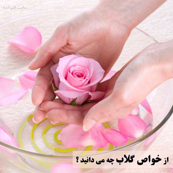 خاصیت گلاب برای پوست و مو + سلامتی