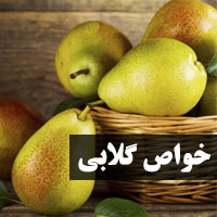 خواص گلابی + 42 خاصیت گلابی برای پوست و مو، بارداری