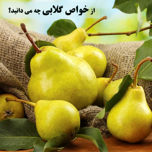 خاصیت گلابی برای پوست و مو، بارداری