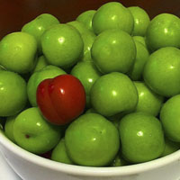 خواص گوجه سبز (آلوچه) از فشار خون تا بارداری و کبد