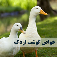 خواص گوشت اردک + ۲۷ خاصیت گوشت اردک با مضرات