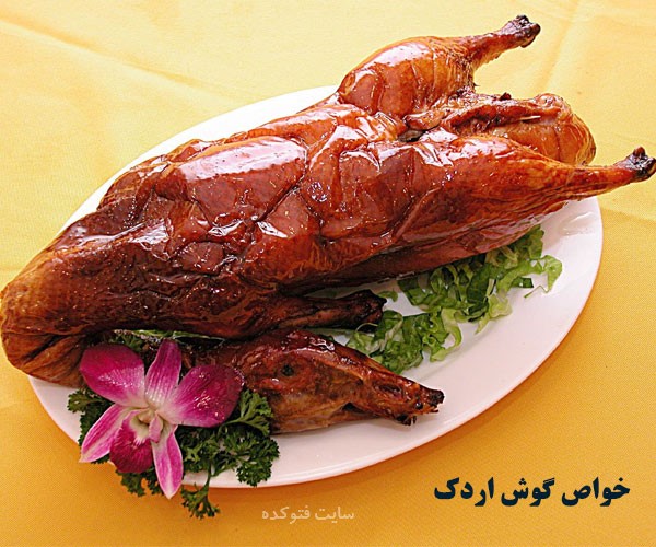 فواید و مضرات گوشت اردک