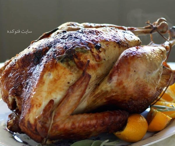 مضرات گوشت اردک چیست