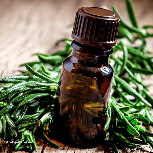 درمان عفونت واژن در طب سنتی با روغن پونه کوهی