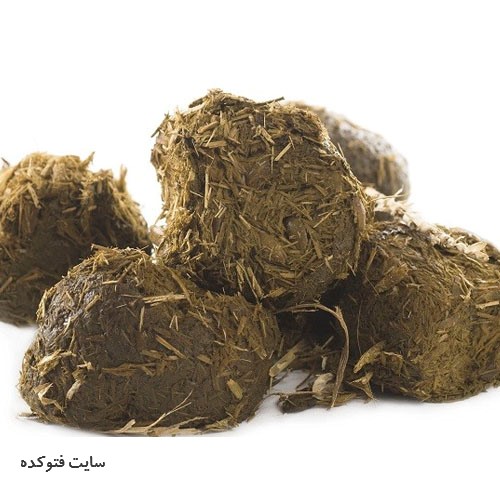 درمان عفونت واژن در طب سنتی با عنبرالنسا