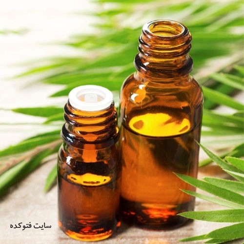 درمان عفونت واژن در طب سنتی روغن درخت چای