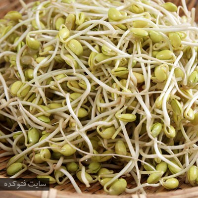 جوانه گندم برای درمان دیابت