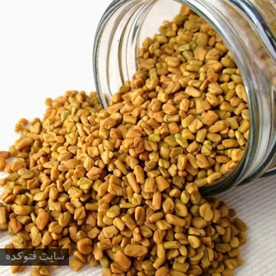 گیاهان طب سنتی برای دیابت با تخم شنبلیله