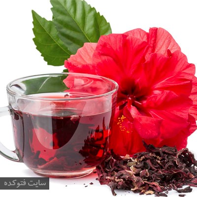 گیاهان طب سنتی برای دیابت با چای ترش