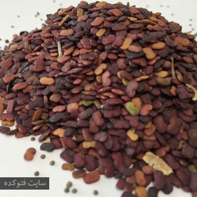 درمان دیابت بصورت قطعی با عدس الملک