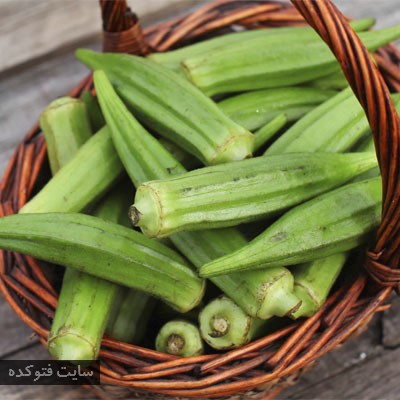 درمان دیابت با بامیه در طب سنتی