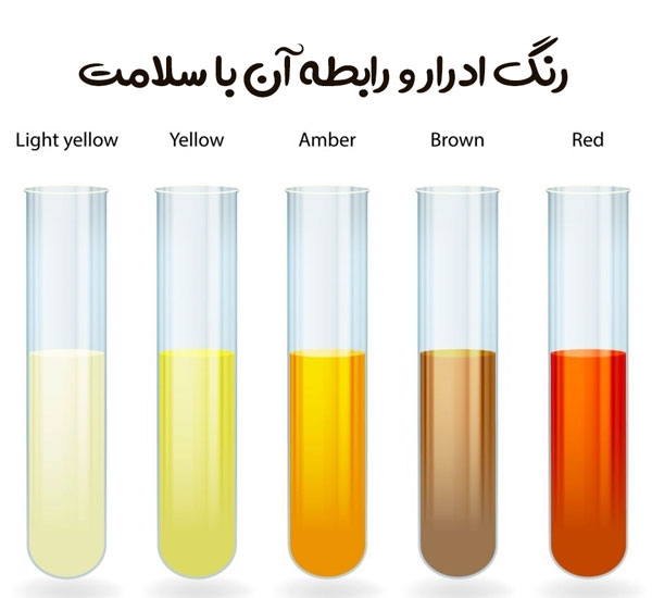 رنگ ادرار (پیشاب) نشانه چیست و چه رابطه ای با سلامتی دارد