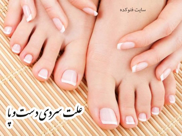 سردی دست و پا در طب سنتی