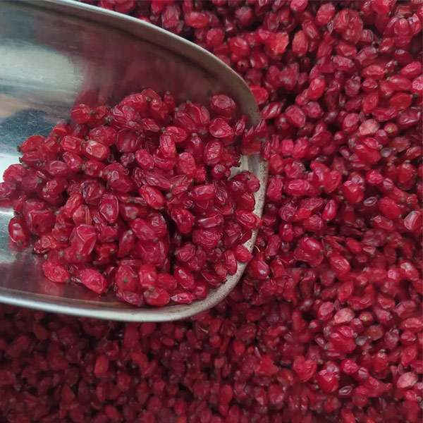 شرایط نگهداری زرشک در مغازه چیست