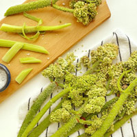 طریقه نگهداری ریواس در یخچال و فریزر برای مدت طولانی
