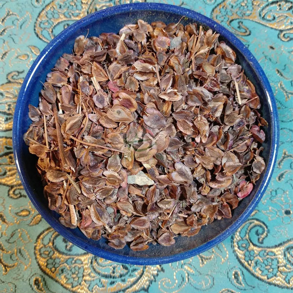 آموزش نگهداری ریواس خشک به مدت طولانی