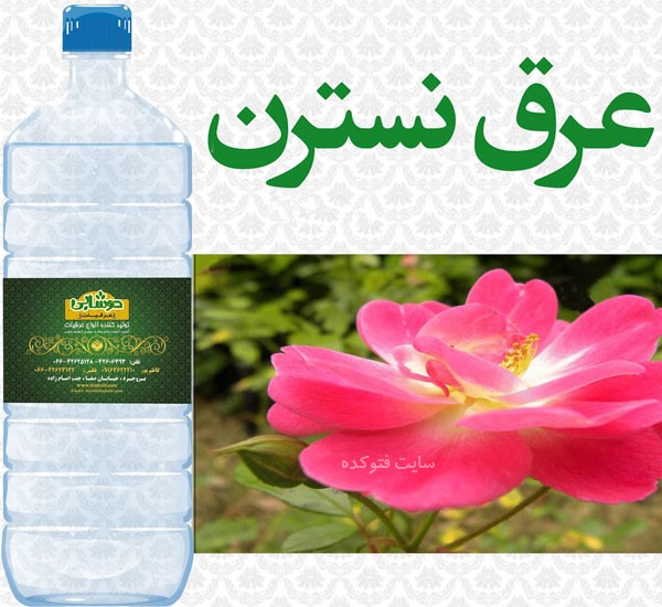 خاصیت عرق نسترن در طب سنتی