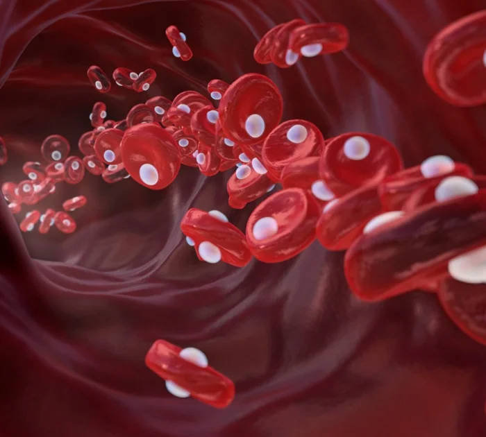 علائم کمبود هموگلوبین خون و نحوه افزایش بدون دارو