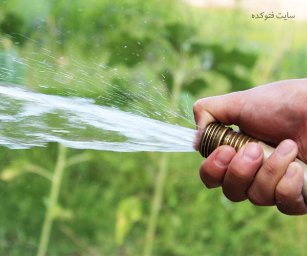 علت بوی بد ادرار چیست