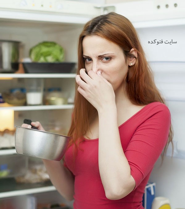 چگونه بوی بد یخچال را از بین ببریم