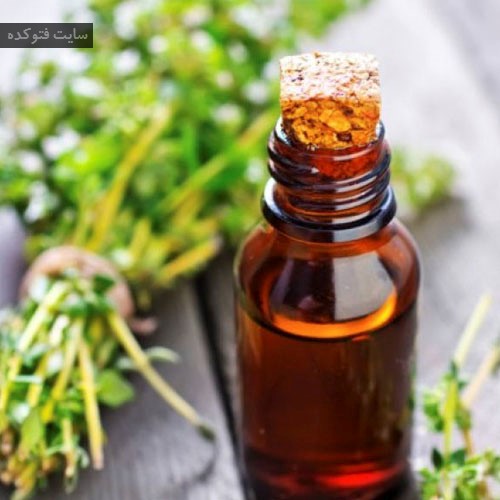 روغن آویشن برای درمان سفیدی زبان