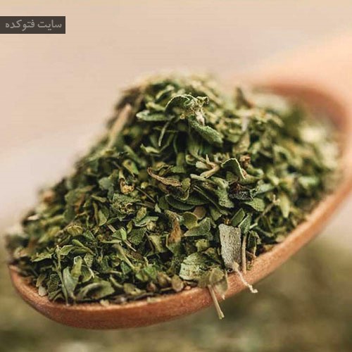 پونه‌ی کوهی یا روغن اورگانو و درمان سفیدی زبان