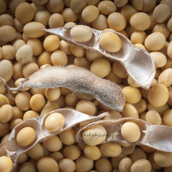 سویا از جمله غذاهایی که سرحالتان می آورد
