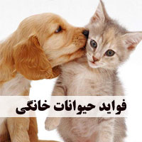 فواید داشتن حیوان خانگی + مزایای نگهداری حیوانات خانگی
