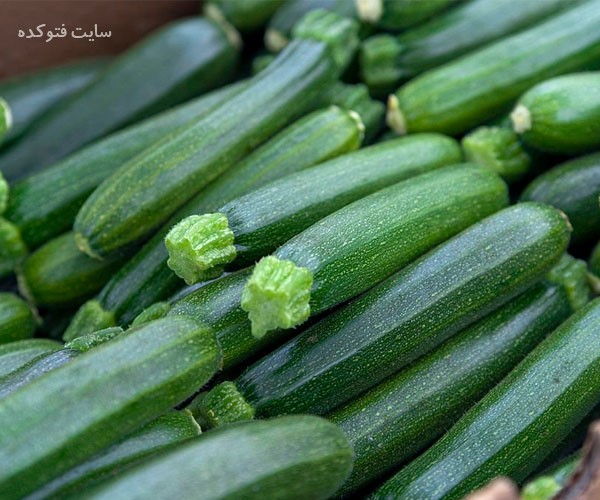 کدو خورشتی چه خواص و مضراتی برای سلامتی دارد