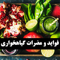 فواید گیاهخواری و مضرات + گیاهخواری در اسلام و لاغری