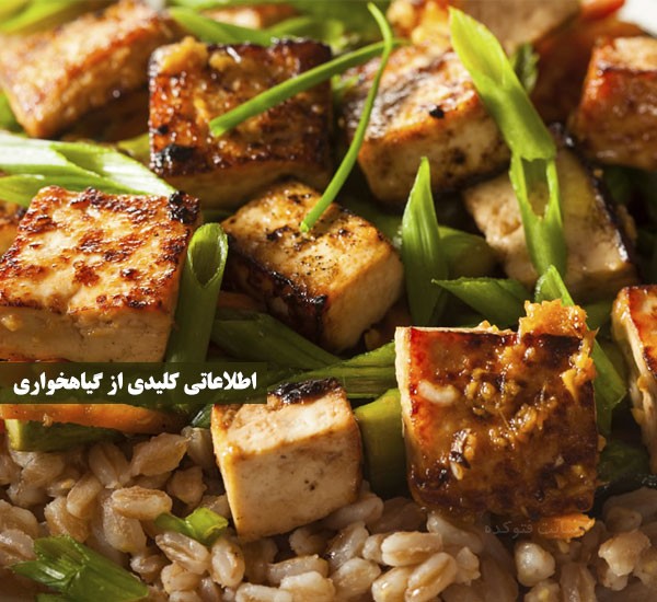 گیاهخواری برای لاغری و کاهش وزن