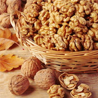 مضرات گردو از کبد چرب تا عوارض پوستی و گوارشی