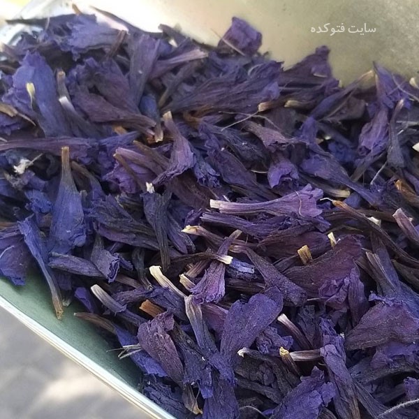 گل گاو زبان چه ضرری دارد