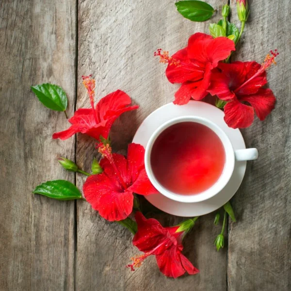 عوارض جانبی چای هیبیسکوس