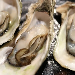 مواد غذایی برای رشد مژه صدف