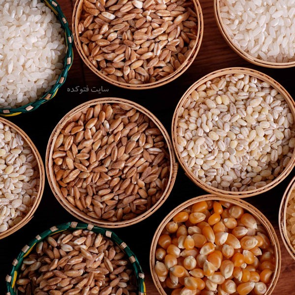 غلات در مواد غذایی جایگزین گوشت