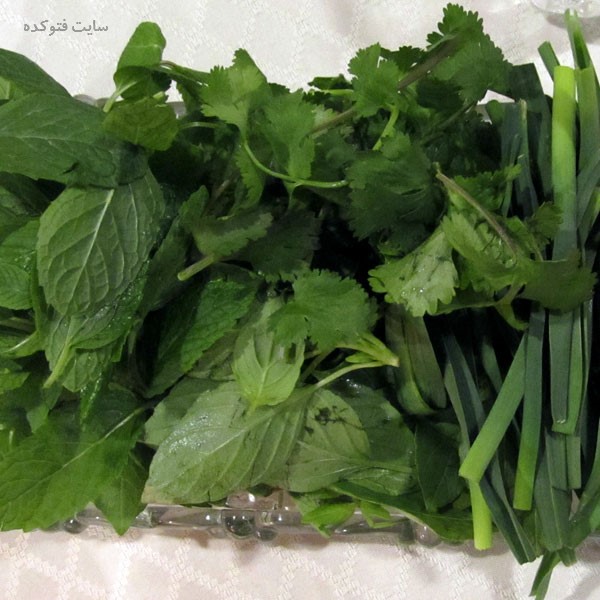 سبزی ها در به جای گوشت چه بخوریم