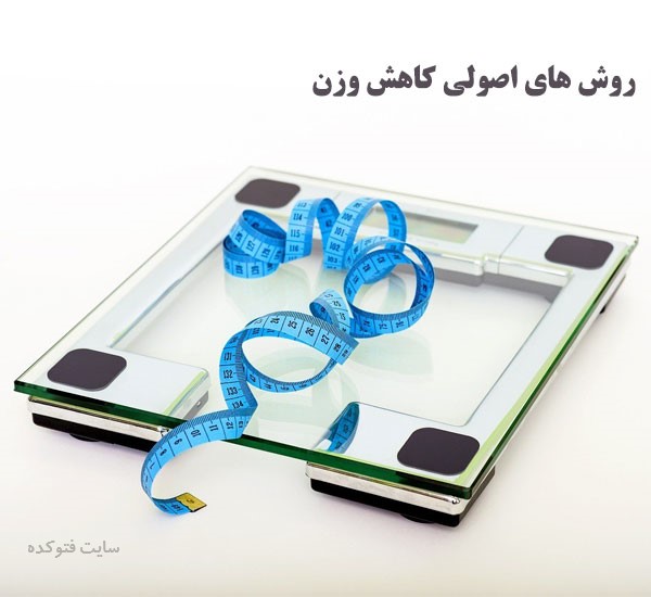 بهترین روش لاغری اصولی و صحیح در خانه