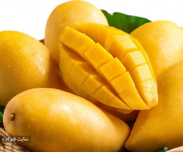 انبه از میوه های مضر