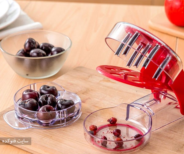 هسته گیلاس از میوه های مضر برای سلامتی بدن انسان