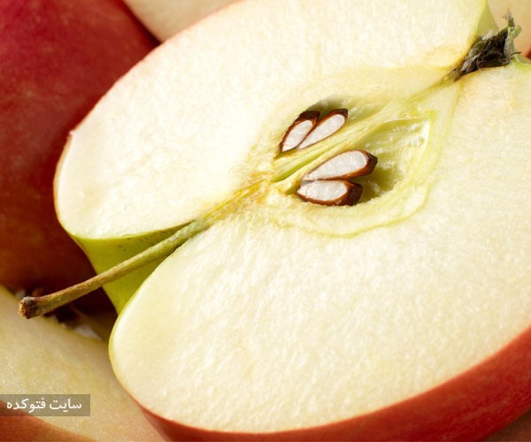 دانه ها سیب از از میوه های خطرناک برای سلامتی بدن انسان