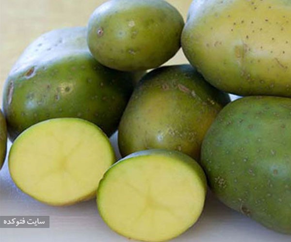 مضرات سیب زمینی سبز