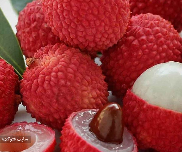لیچی از میوه های خطرناک